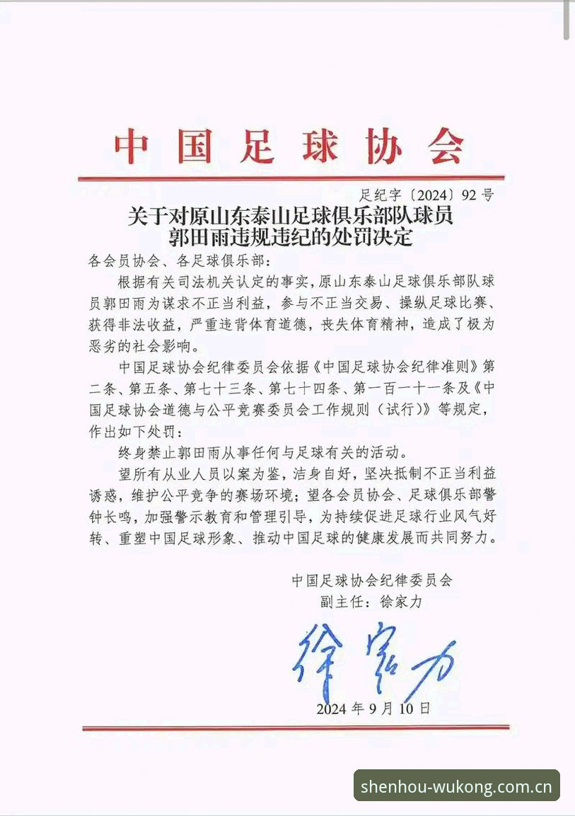 足协第三批禁足名单深度解析：从违规案例看中国足球行业整治完整指南