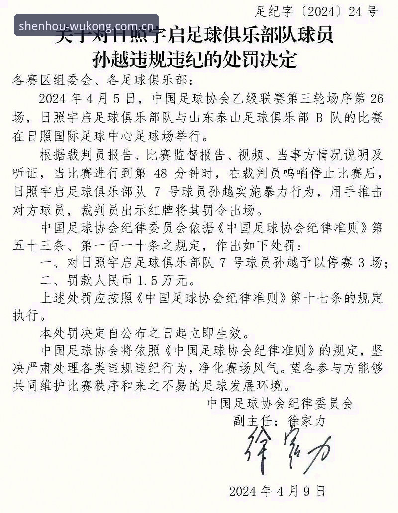 足协第三批禁足名单深度解析：从违规案例看中国足球行业整治完整指南